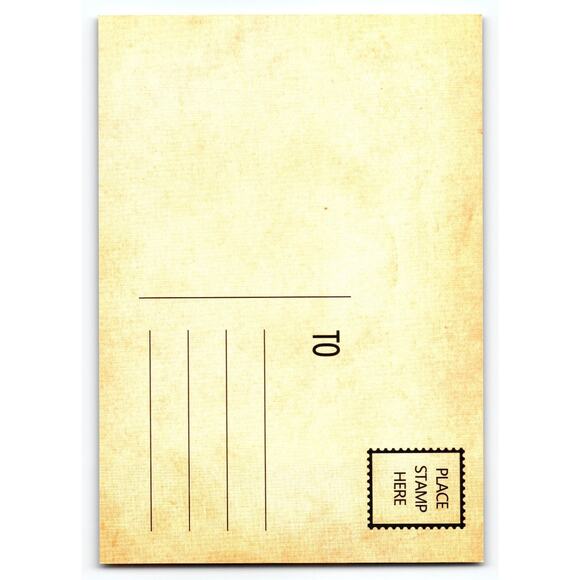 Vintage Halloween Postcard with Three Witches & Pumpkins Full Moon - Picture 2 of 2